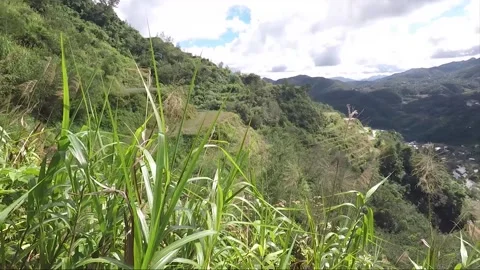 Panoramic View, Mountains, Forest, Valley, Rice Terraces, Banaue, Philippines Stock Footage 233975918