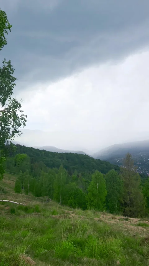 Panoramic view of the mountains, forest, valley in summer. Stock Footage 278920233
