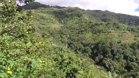 Panoramic View, Mountains, Forest, Waterfall, Rice Terraces, Banaue, Philippines Stock Footage 232934730
