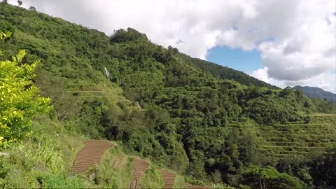 Panoramic View, Mountains, Forest, Waterfall, Rice Terraces, Banaue, Philippines Video stock 233238205
