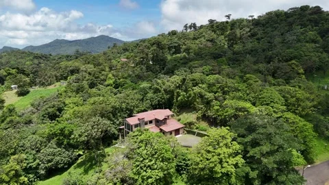 Panoramic view of the mountains full of large trees of Altos del Maria, Panama Stock Footage 343892179