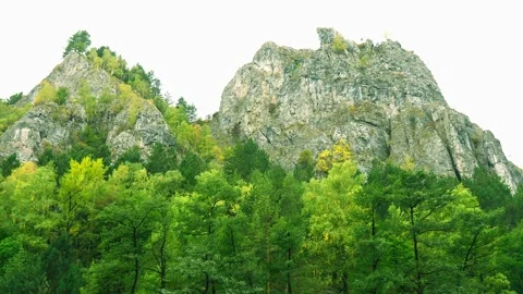 Panoramic view of the mountains with green forest 4k Stock Footage 162466940