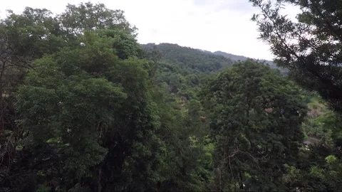 Panoramic View of Mountains from Kek Lok Si Temple, Penang, Malaysia Vídeo Stock 296386561