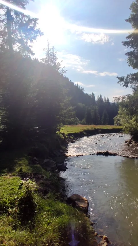 Panoramic view of mountains river in the forest Stock Footage 160966303