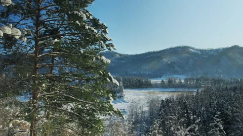 Panoramic view of the mountains. Snow-covered trees at the foot of the mountain Stock Footage 136680729