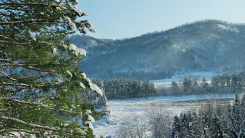 Panoramic view of the mountains. Snow-covered trees at the foot of the mountain Stock Footage 136728702