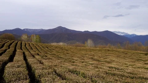 Panoramic view of nature in the mountains Stock Footage 106649737
