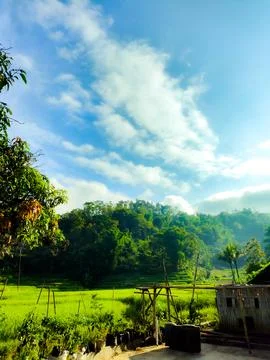 Panoramic view of nature Stock Photos