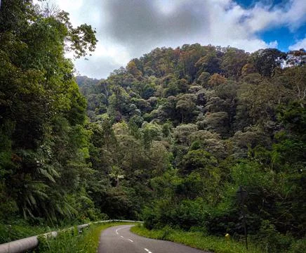 Panoramic view of nature Stock Photos
