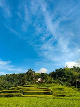 Panoramic view of nature Stock Photos