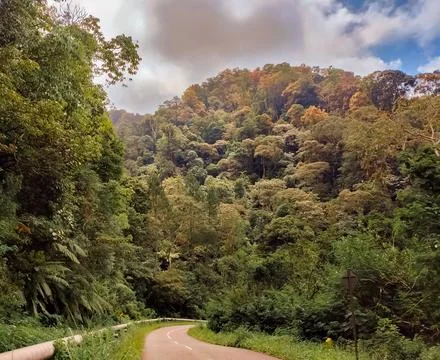 Panoramic view of nature Stock Photos