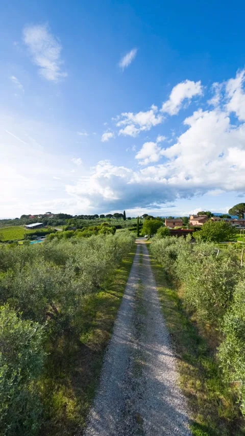A panoramic view of nature in the Umbrian countryside in Italy - 360 video Vidéo 335293255