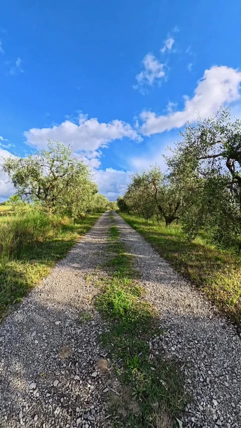 A panoramic view of nature in the Umbrian countryside in Italy Video stock 335477498