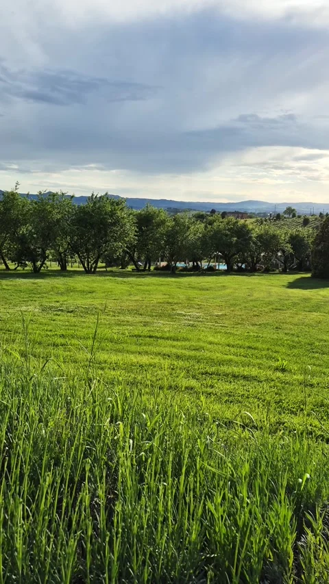 A panoramic view of nature in the Umbrian countryside in Italy Stock Footage 336060089