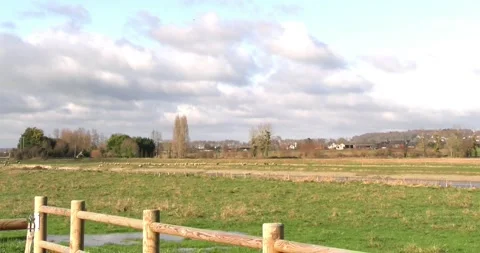 Panoramic view of the Normandy plains | View on sheep in the meadow | France Stock Footage 233832011