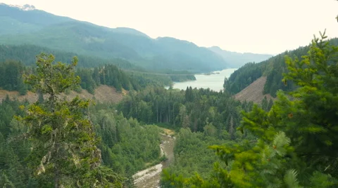 Panoramic view of ocean, mountains with spruce trees foreground Stock Footage 63641849