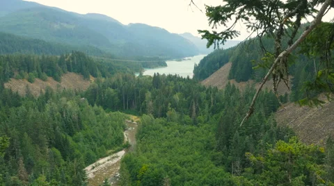 Panoramic view of ocean, mountains, trees and cliffs Stock Footage 63640761