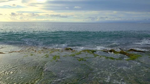 A panoramic view of ocean with seaweed and rock on beach with high tide waves Stock Footage 115025746