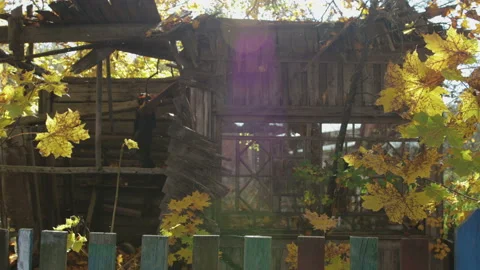 Panoramic view of the old, destroyed, wooden house in the deciduous autumn 스톡 동영상 96728602