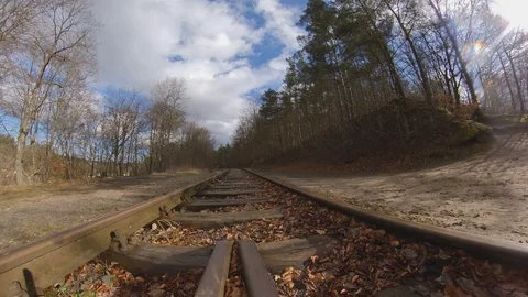 Panoramic View of Old Rusty Steel Rails Railway in Autumn Forest on Sunny Day Stock Footage 126835077