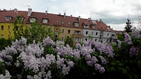 A Panoramic View of Opole, Poland, Showcasing Colorful Buildings and Blossoming Stock Footage 282332603