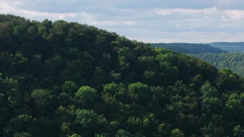 Panoramic  view over early autumn forest Stock Footage 318711422