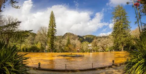 Panoramic view over the geothermal pool in Terra Nostra garden. Stock Photos