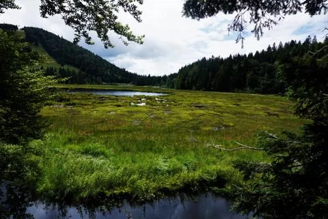 Panoramic view over Lac de Lispach in the Vosges near La Bresse Stock Photos