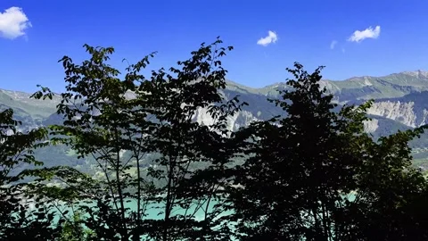 Panoramic View over Lake Brienz with Swiss Alps and Trees Stockbeeldmateriaal 264576284