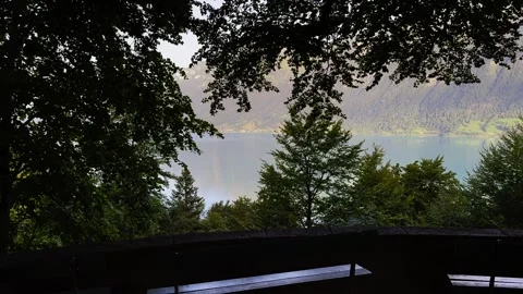 Panoramic View over Lake Brienz with a Bench and Tree Branch with Mountainscape Stock Footage 264756168
