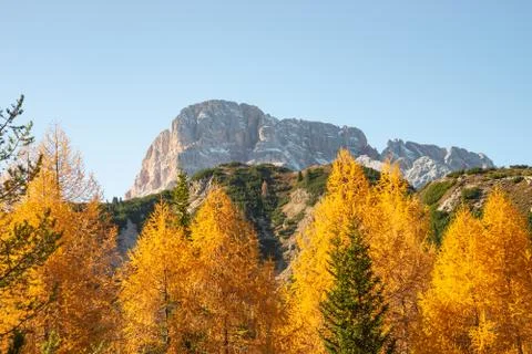 Panoramic view over larch, pine and spruce forests covering Dolomite mountain Stock Photos