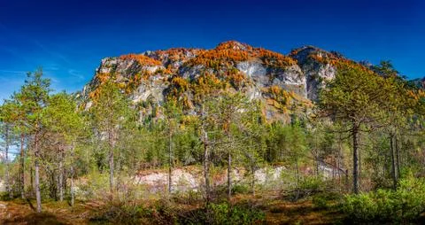Panoramic view over larch, pine and spruce forests covering Dolomite mountain Stock Photos