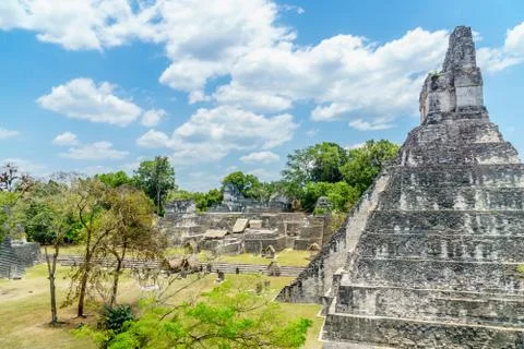 Panoramic view over Maya pyramids and temples in national park Tikal Guatemala Stock Photos