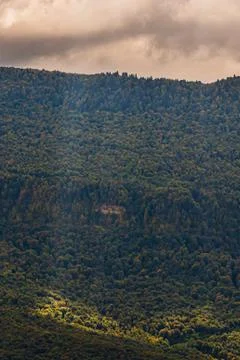 Panoramic view over mountains covered by forest Stock Photos