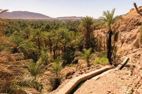 Panoramic view over oasis of date palms, Figuig, Morocco Stock Photos