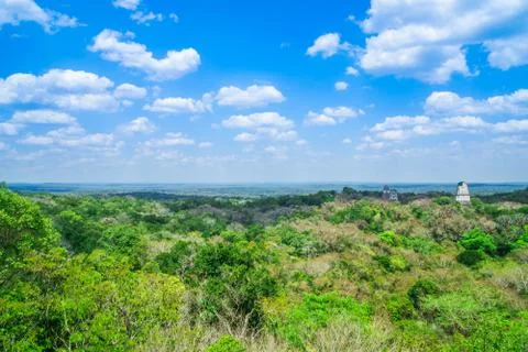 Panoramic view over rain forest and ruins of Tikal in Guatemala Stock Photos