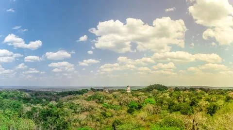Panoramic view over rain forest and ruins of Tikal in Guatemala Stock Photos