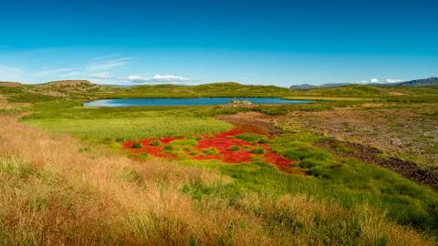 Panoramic view over rough and colorful landscape in Iceland Stock Photos