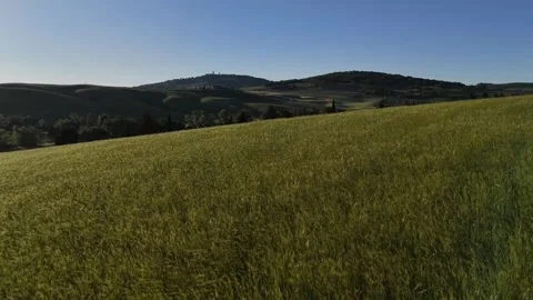 Panoramic View over Sunlit Green Meadow and Forested Slopes Stock Footage 346743138