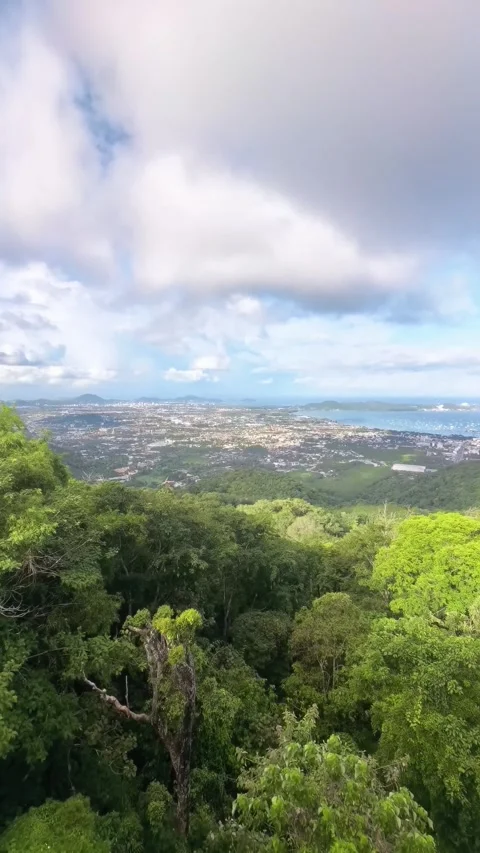Panoramic View Over Tropical Jungle and Ocean Bay From High Hill Stock Footage 341901643