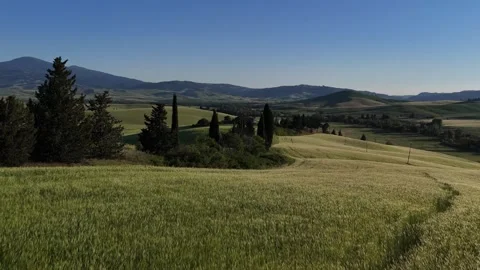 Panoramic View over Tuscan Cereal Fields and Dark Cypress Trees Video stock 347250454