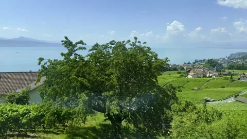 Panoramic View over Vineyard and Lake Geneva and Mountain Stockbeeldmateriaal 286101262