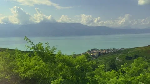 Panoramic View over Vineyard and Lake Geneva with Mountainscape 動画素材 287212286