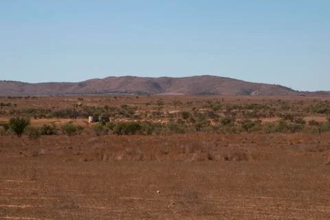 Panoramic view of paddock with windmill, water tanks and sheep Stock Photos