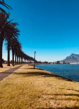 Panoramic view with palm trees, lagoon and mountains in Cape Town Foto stock