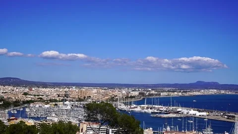 Panoramic view on Palma de Mallorca harbour,Spain Stock Footage 194449550