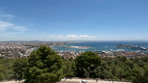 Panoramic view of Palma de Mallorca harbor with city skyline and marina Stock Footage 330803794