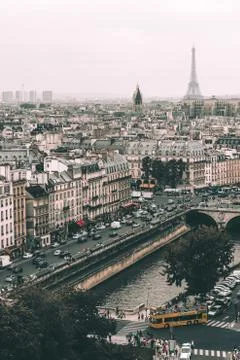 Panoramic view of Paris, Eiffel tower and river Seine from the roof of Notre Foto stock