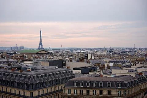 Panoramic view of Paris with Eiffel Tower 库存照片