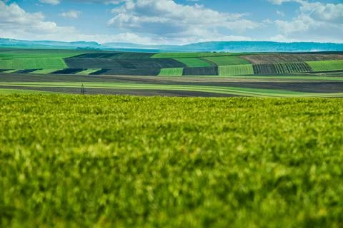 Panoramic view of patchwork plots of land from the side of a green field of w Stock Photos